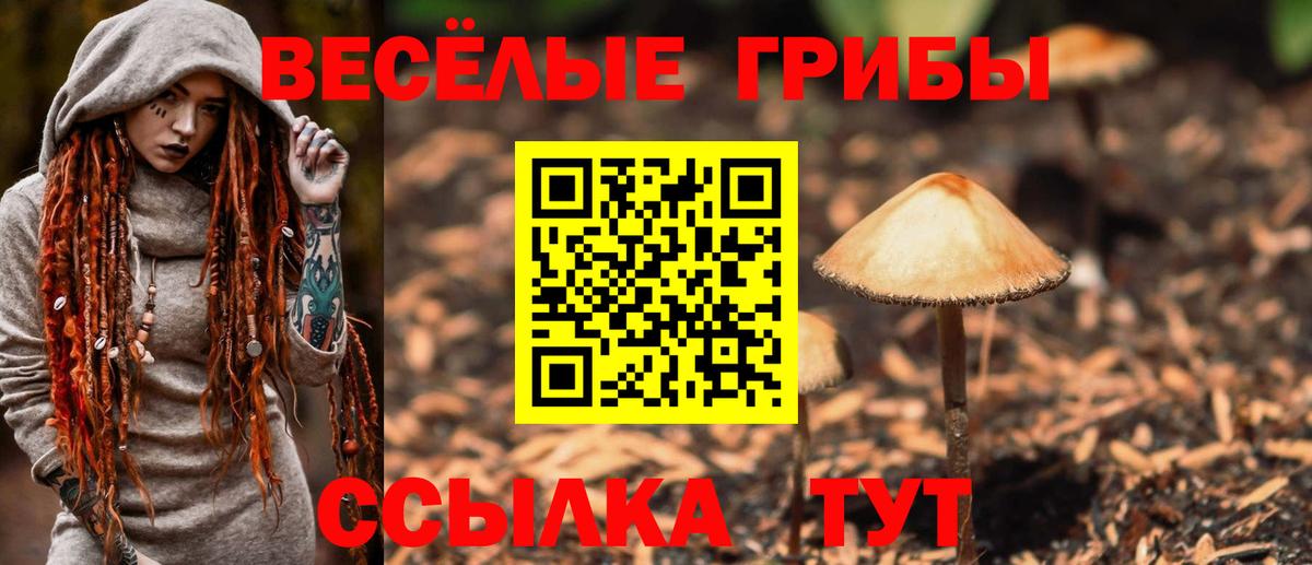 Галлюциногенные грибы ЛСД  Вход с VPN  Новороссийск 