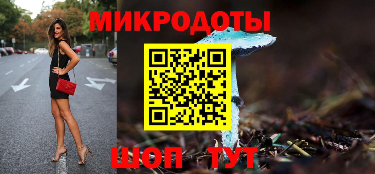 Галлюциногенные грибы мицелий Новороссийск